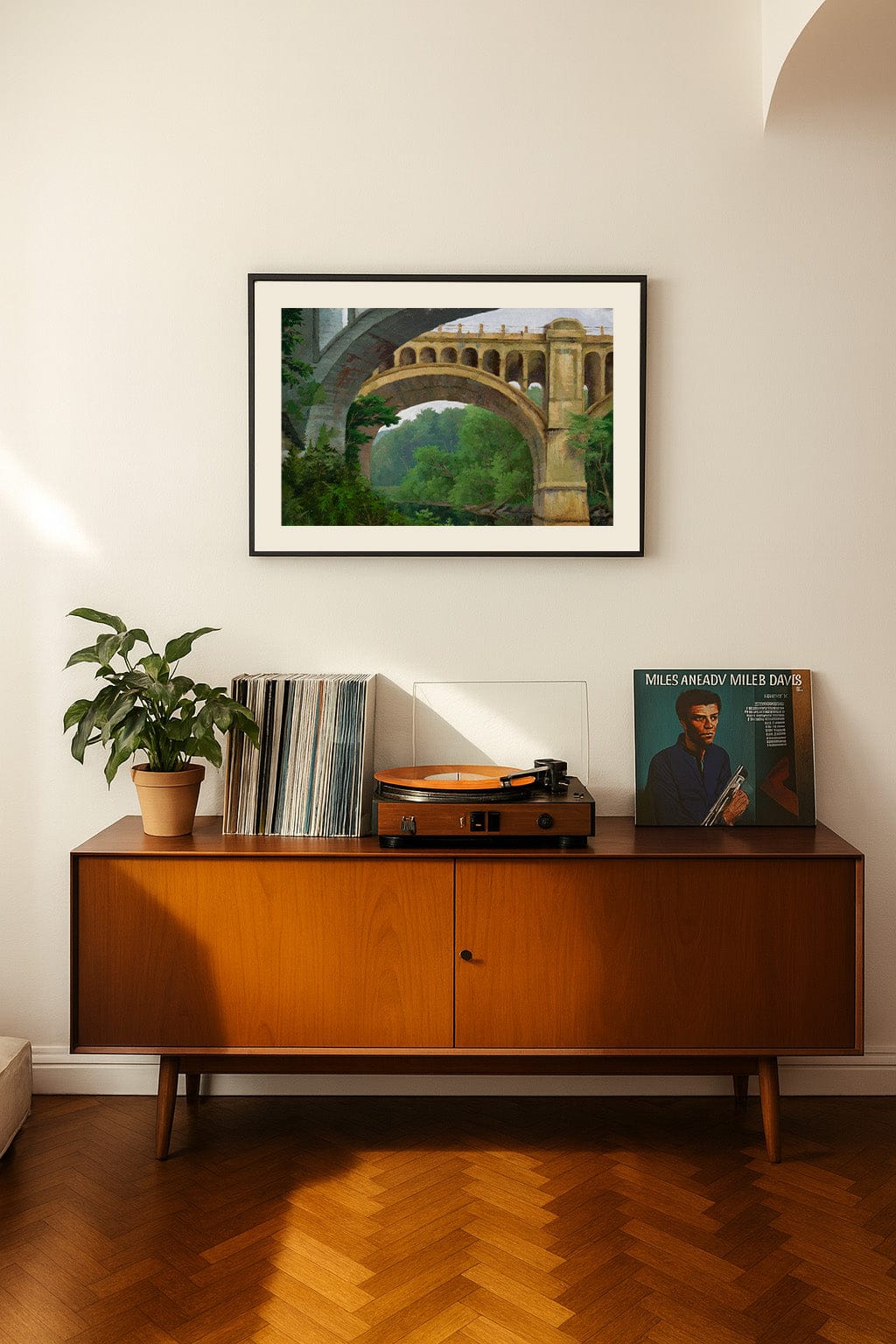 Wooden sideboard with vinyl records and a plant, framed artwork above